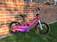 specialized hotrock 16 age range